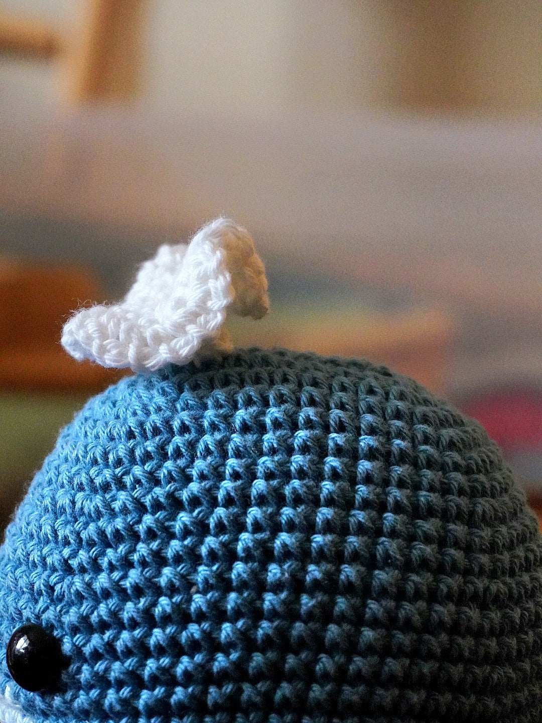 Baleine, orque et narval