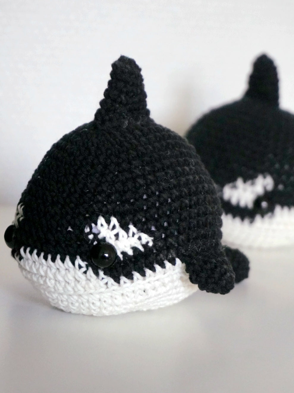 Baleine, orque et narval