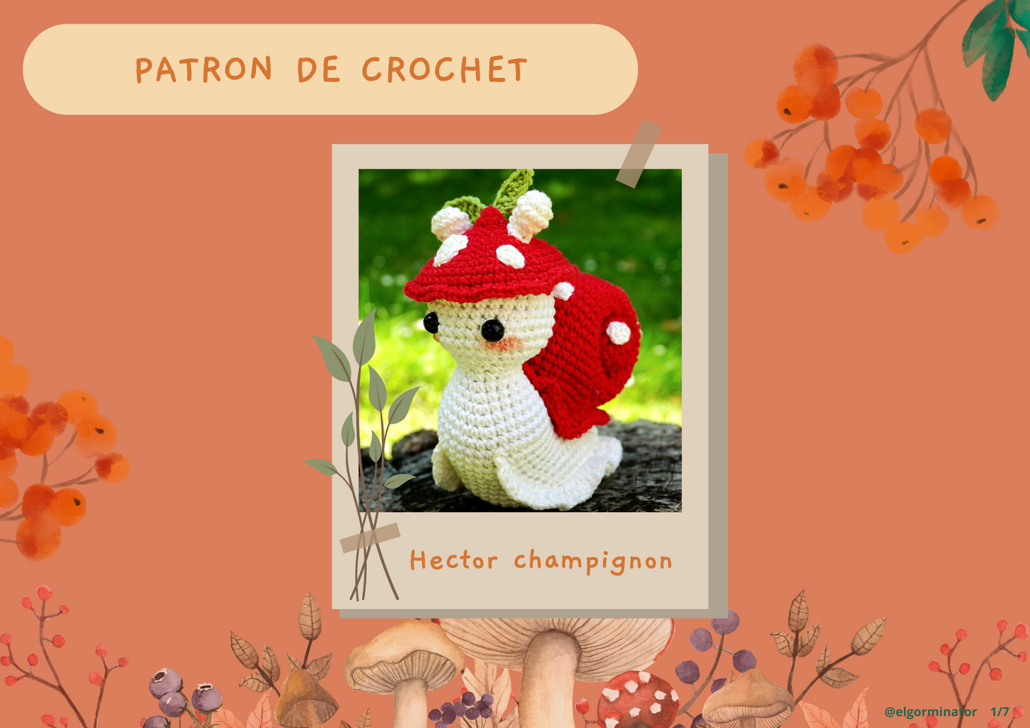 Patron Hector champignon