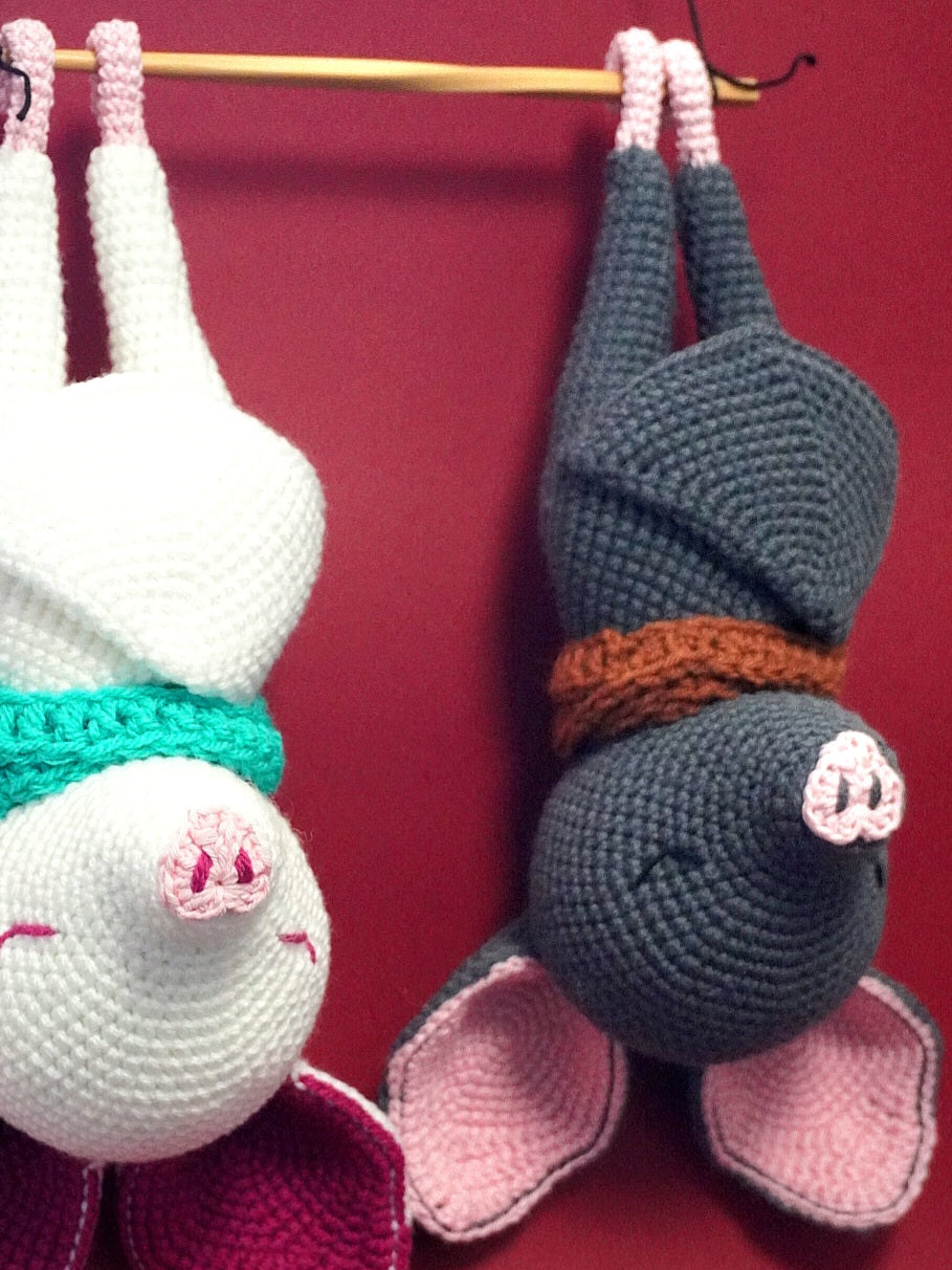 Patatouraf chauve souris endormie